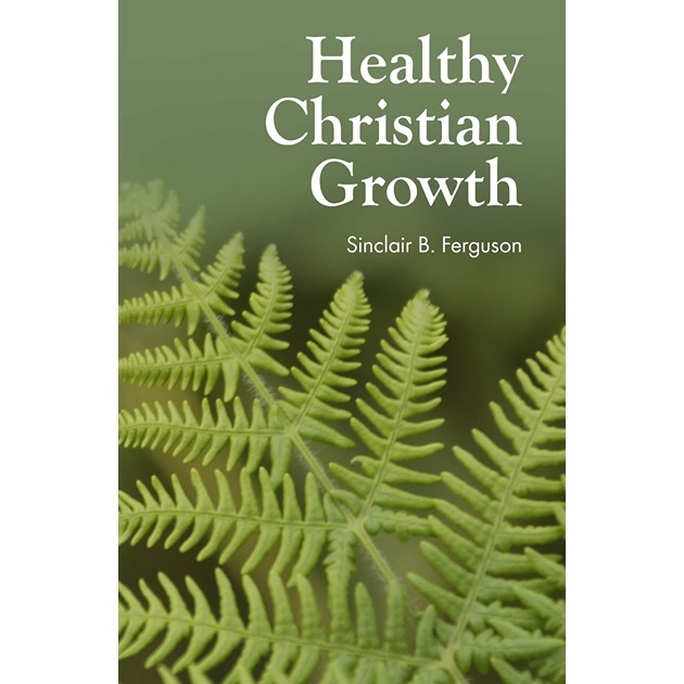 Healthy Christian Growth
