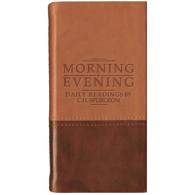 Morning And Evening - Matt Tan / Burgundy