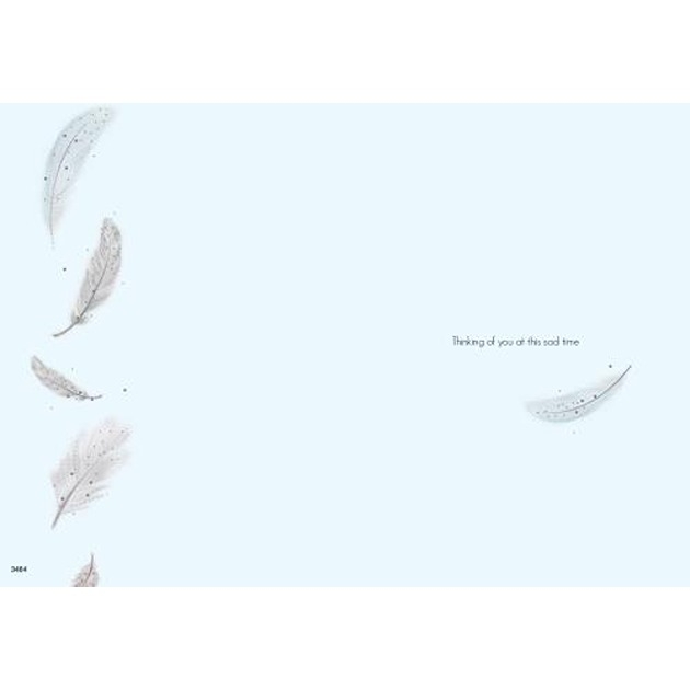 Sympathy Open - Feathers (6)