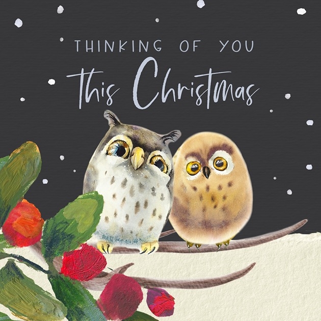 Thinking Of You This Christmas (owls)
