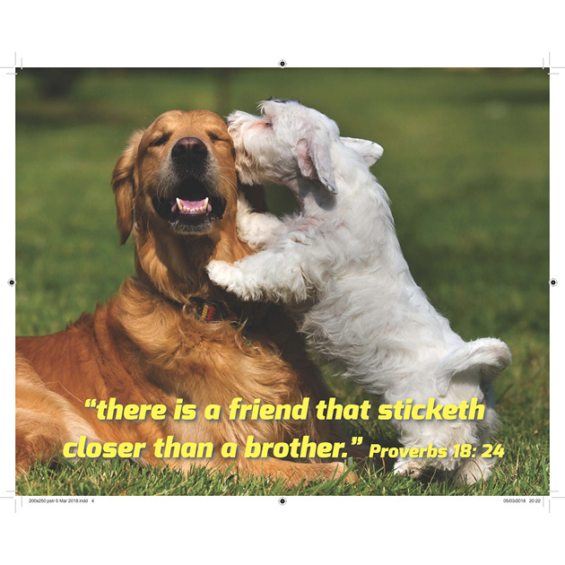Golden Retriever & Westie Whispering With Bible Verse