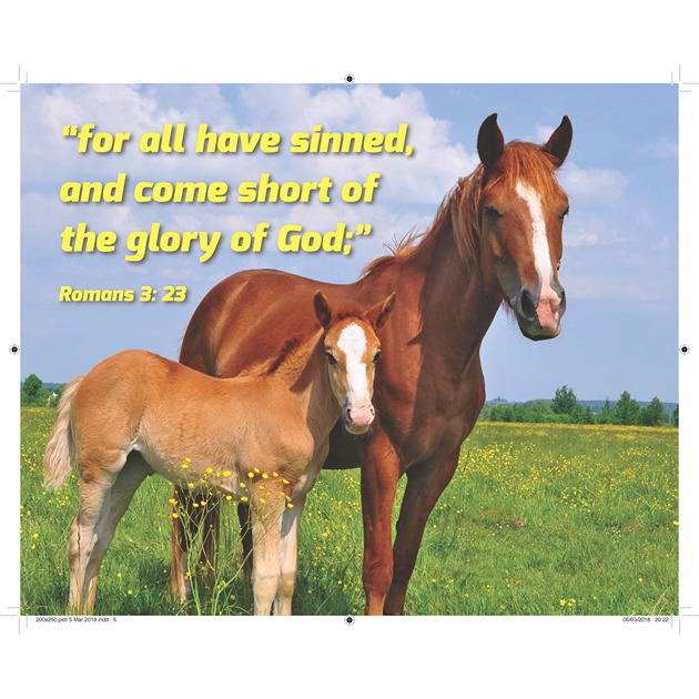Horse & Foal Picture With Bible Verse