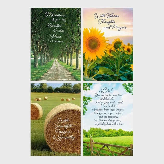 Sympathy Box: Fields of Comfort 