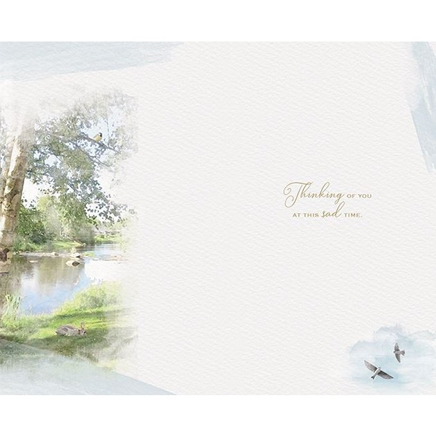 Sympathy - Brother - Forest Park [6]