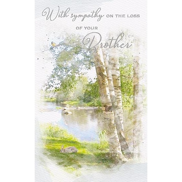 Sympathy - Brother - Forest Park [6]