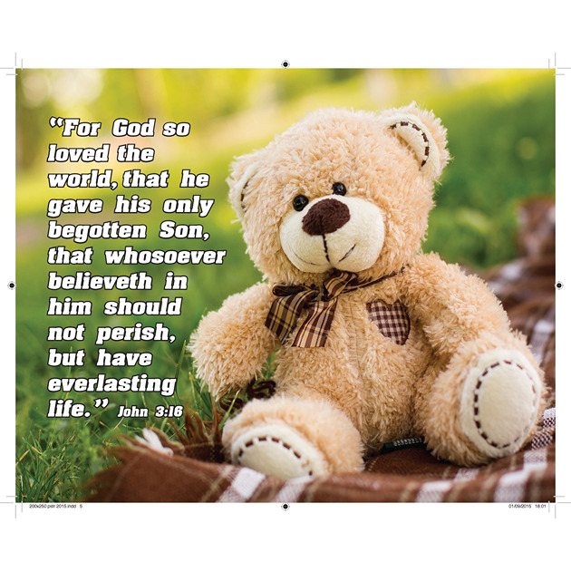 Teddy Bear Picture With Bible Verse