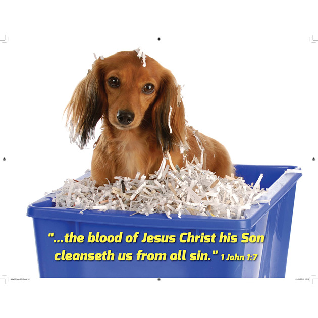 Dachshund In Blue Tub Picture With Bible Verse