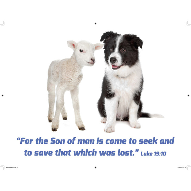 Collie Dog & Lamb Picture With Bible Verse