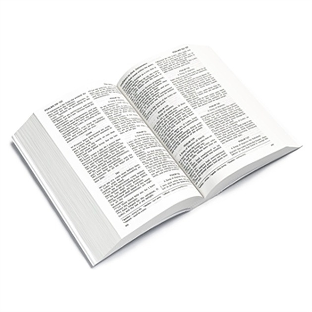 Hampton Text Bible - Blue Paperback 