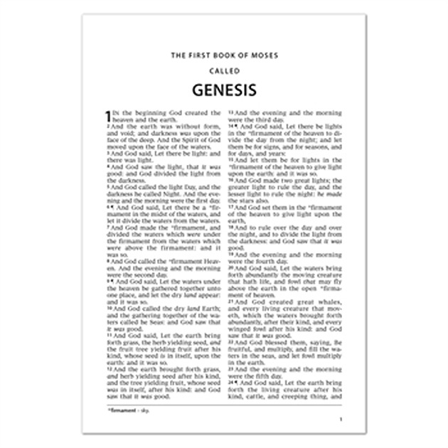 Tyndale Hampton Text Bible - Pictorial Hardback