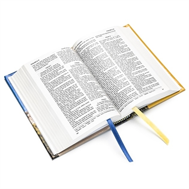 Tyndale Hampton Text Bible - Pictorial Hardback