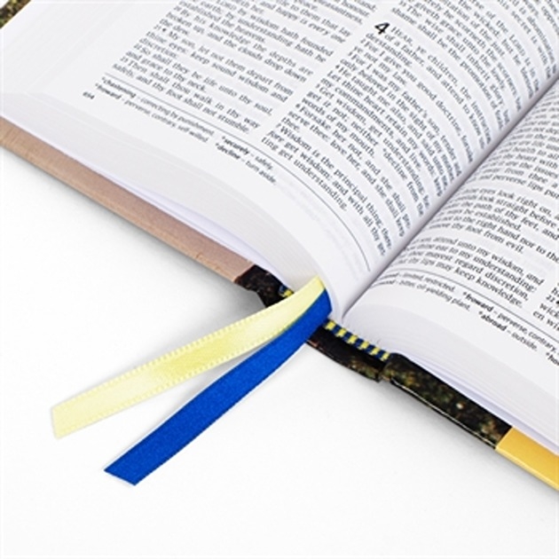 Tyndale Hampton Text Bible - Pictorial Hardback