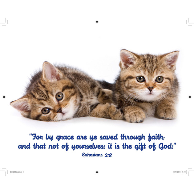 Cute Kittens Picture With Bible Verse