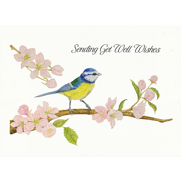 Sending Get Well Wishes [Blue Tit]