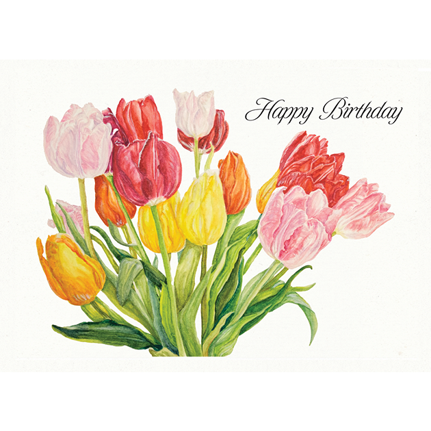 Happy Birthday [Tulips]
