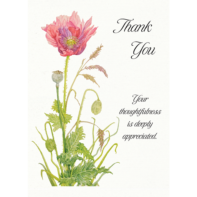 Thank You Card [Poppy]