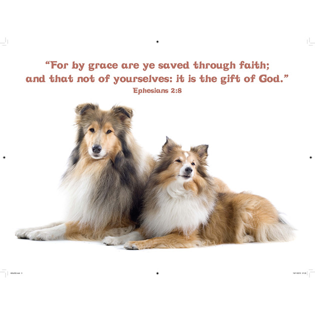 Lassie Dogs Picture With Bible Verse