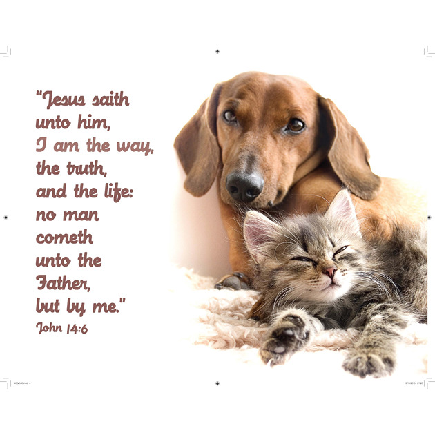 Brown Dog & Tiger Cat Picture With Bible Verse - Large