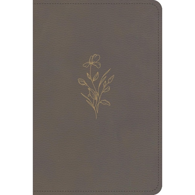 KJV Large Print Compact Reference Bible - Clay
