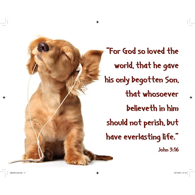 Spaniel With Earphones Picture With Bible Verse - Large