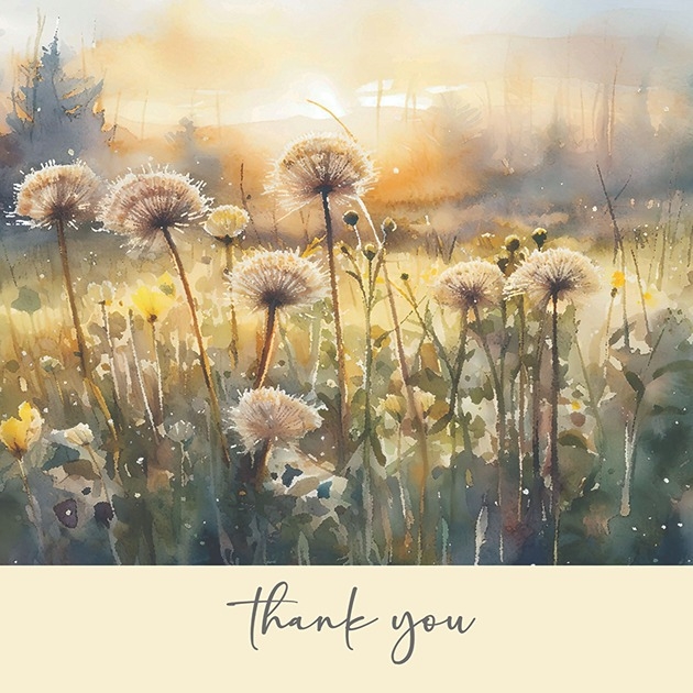 Thank You - Dandelions - Philippians 1: 3