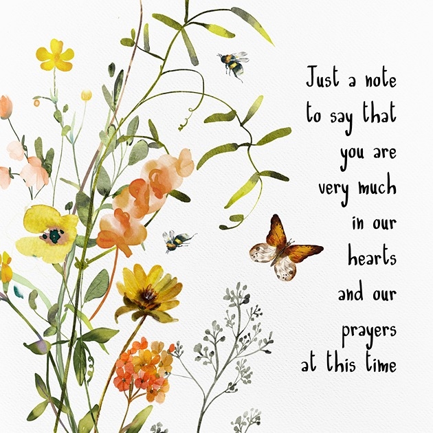 Just A Note To Say - Orange Butterfly - Isaiah 40: 29