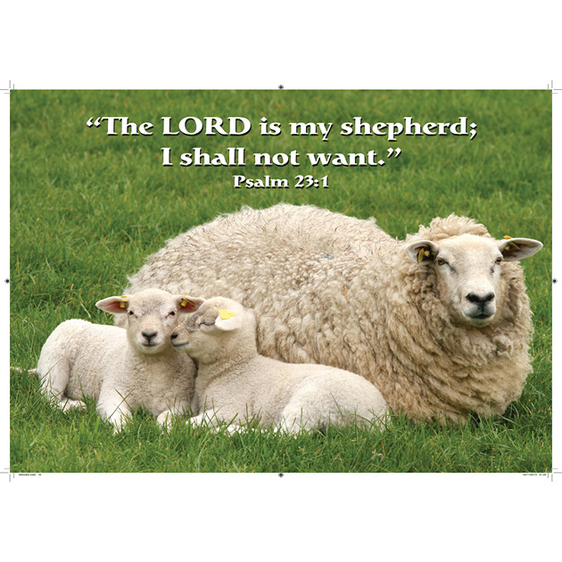 Sheep Picture With Bible Verse - Large