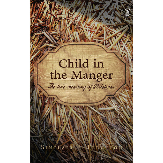 Child In The Manger The True Meaning Of Christmas