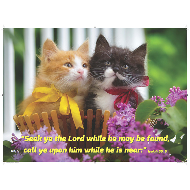 Kittens Wearing Bows Picture With Bible Verse - Large