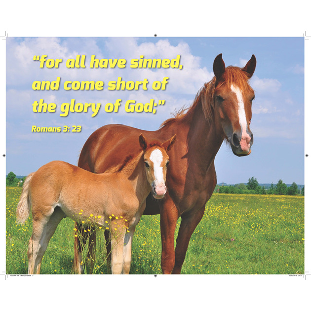 Horse & Foal Picture With Bible Verse - Large