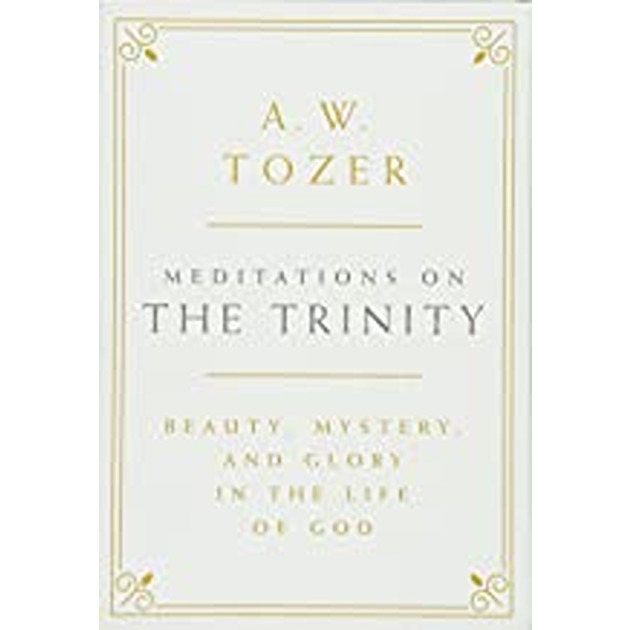 Meditations On The Trinity Beauty, Mystery And Glory In The Life Of God