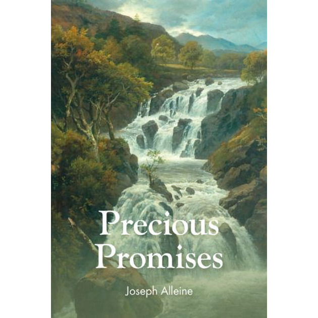 Precious Promises