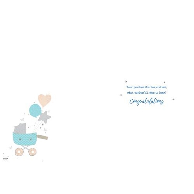 Birth Boy - Palladium Pram (6)